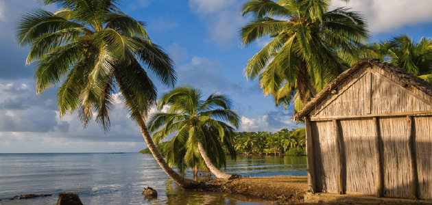 Beach and palms at Nosy Be Madagascar