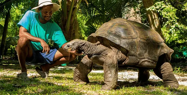 Oldest Seychelles Resident Turns 120