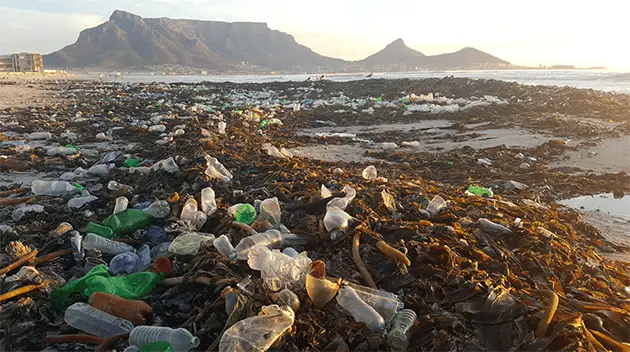 World Oceans Day Cape Town Beach Plastic Waste