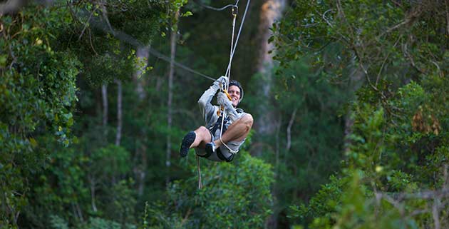 Tsitsikamma Canopy Tours