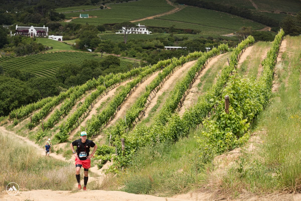 The Ultra-trail Cape Town route through the Constantia Winelands.