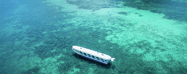 Ayana Komodo glass bottom boat