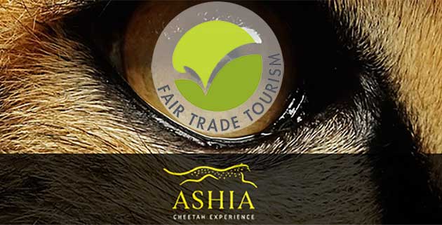 Ashia Cheetah Sanctuary Fair Trade Tourism
