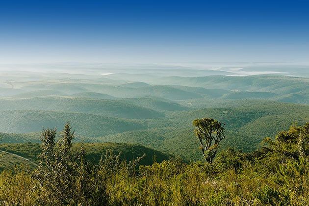 Landscape at Buffalo Kloof Private Game Reserve