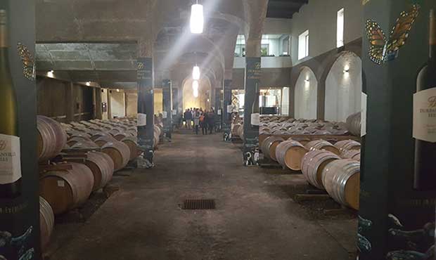 Durbanville Hills wine cellar