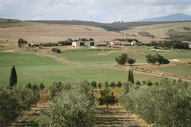 Gabrielskloof farm