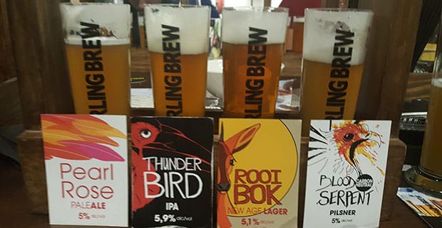 Darling Brew Beer Range