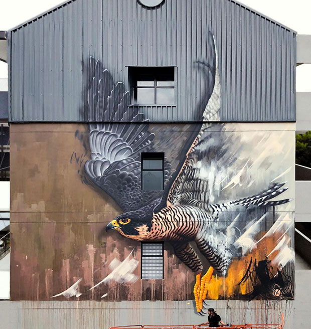 Graffiti in Johannesburg of a falcon in flight by street artist SonnySundancer