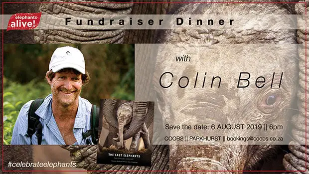 Elephants Alive Fundraising Dinner