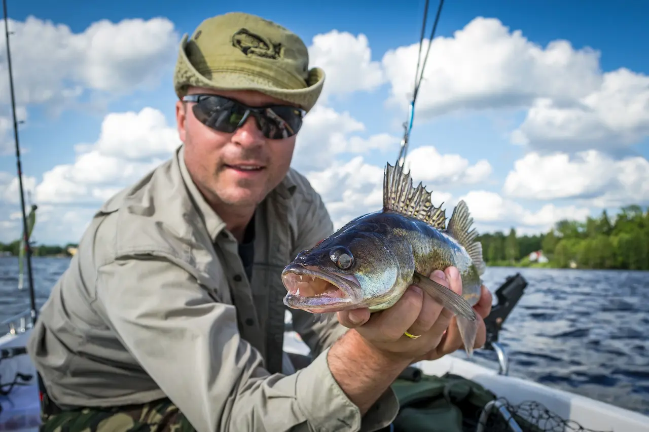Happy Male Angler With Summer Walleye Fishing Trophy