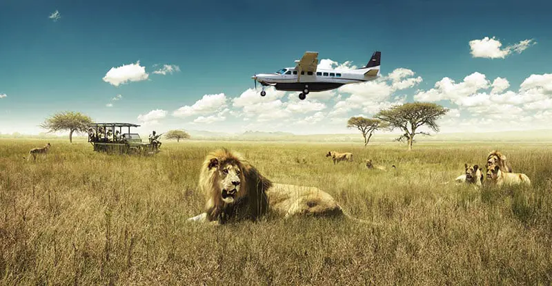 Namibia Fly In Safaris