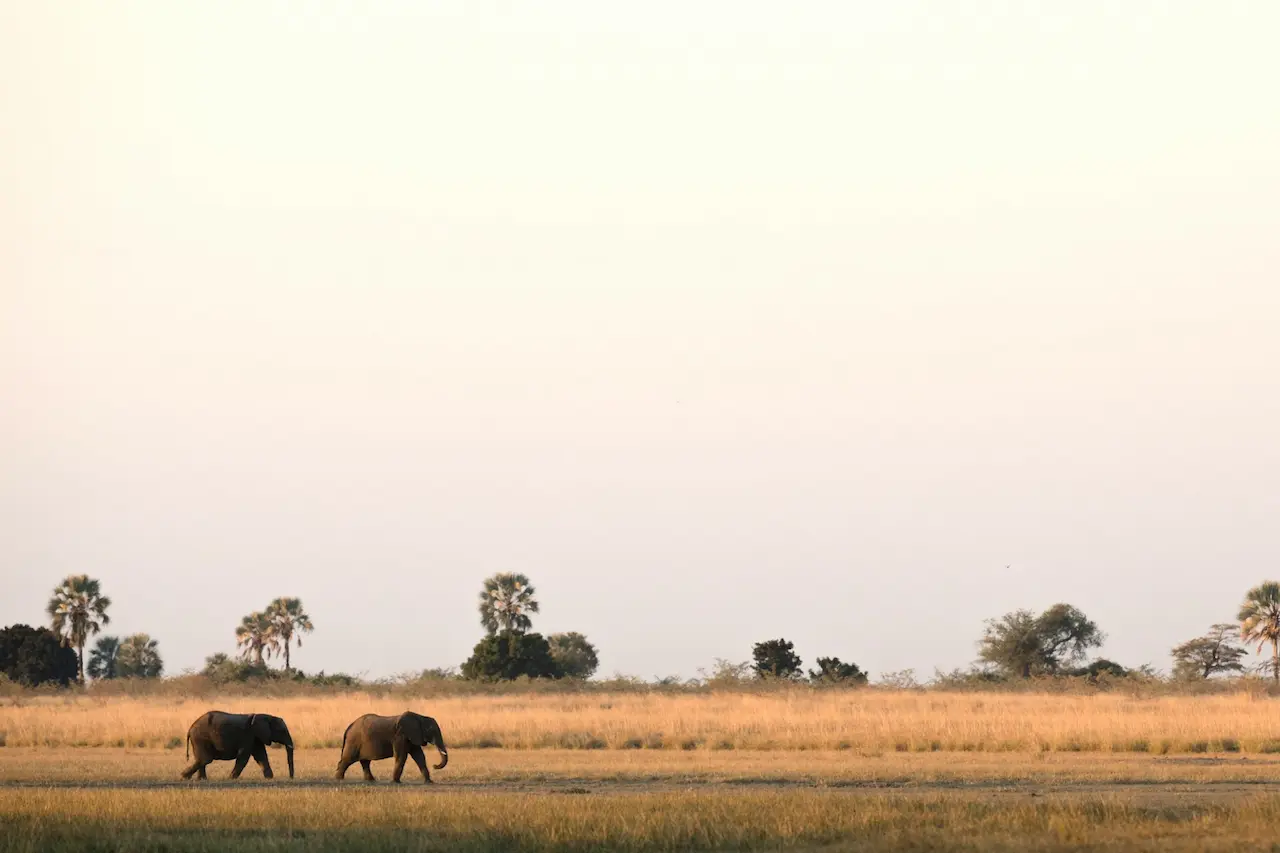 Zambezi Queen Wins World's Leading Boutique Cruise 2019 