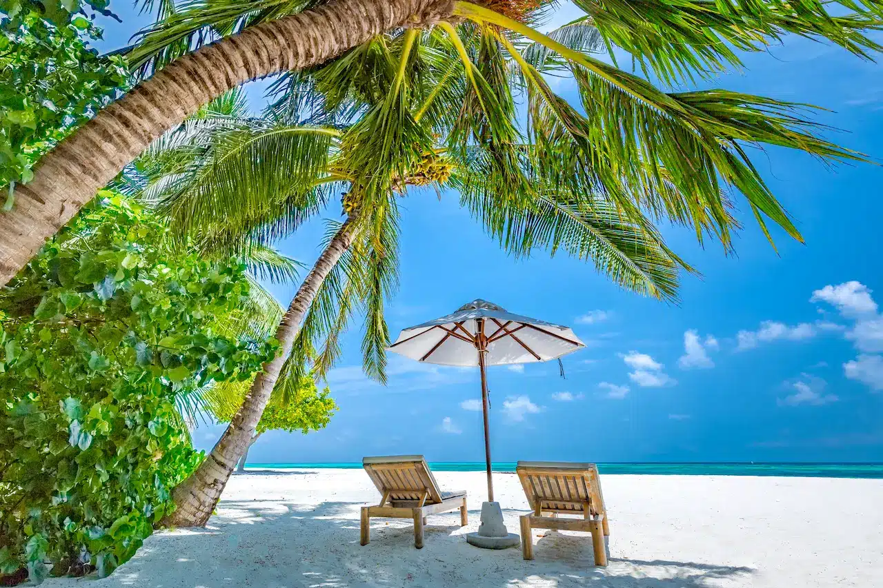 ATB to Boost Beach Tourism in Tanzania