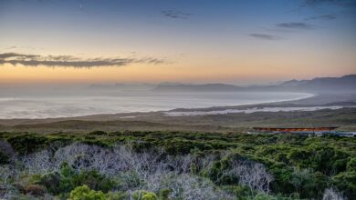 Grootbos Forest Lodge South Africa