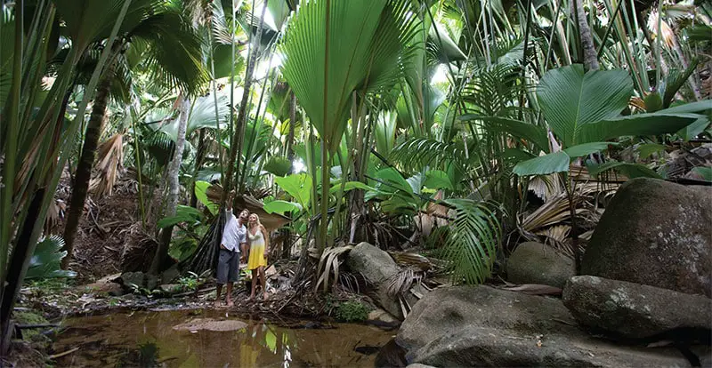 Ecotourism Forest Seychelles