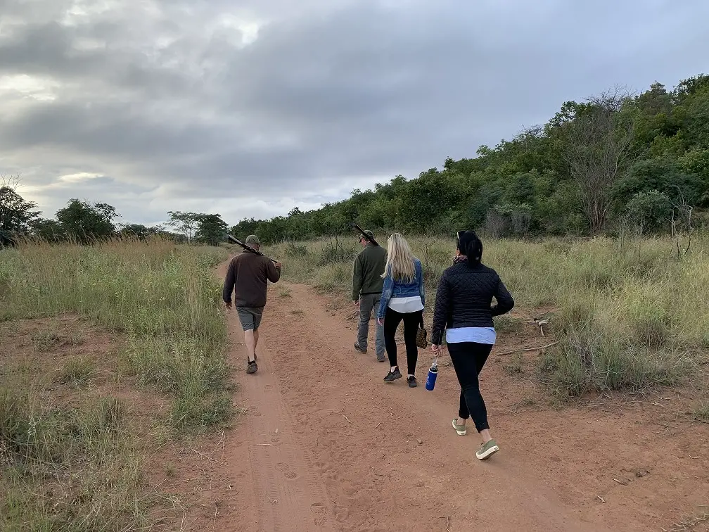 Tintswalo Walking Safaris IMG 2544 2