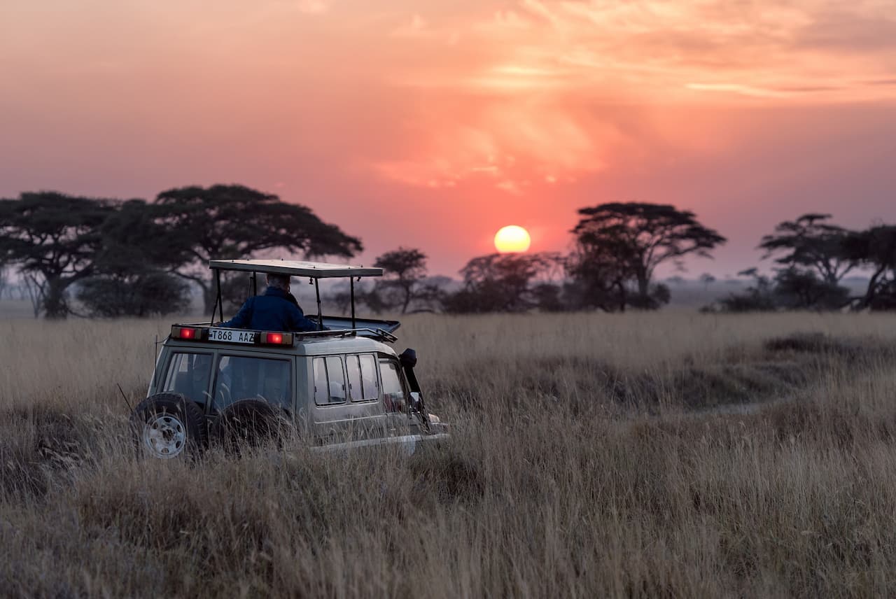 Sunrise Safari in Serengeti