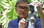 Sculptor Tom Bower at work, Seychelles