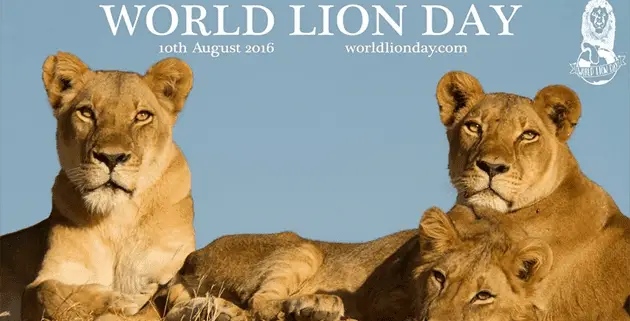 Cecil the Lion on World Lion Day